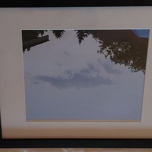 Cloud bird 1st in print